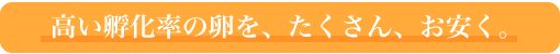 お問合せはこちら